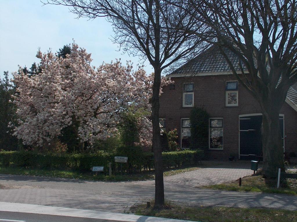 Molenvoort Bed & Breakfast Wachtum Exterior foto