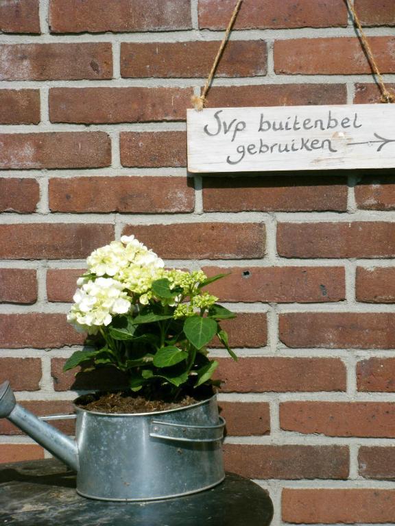 Molenvoort Bed & Breakfast Wachtum Exterior foto