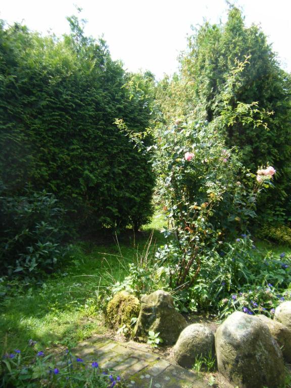 Molenvoort Bed & Breakfast Wachtum Exterior foto