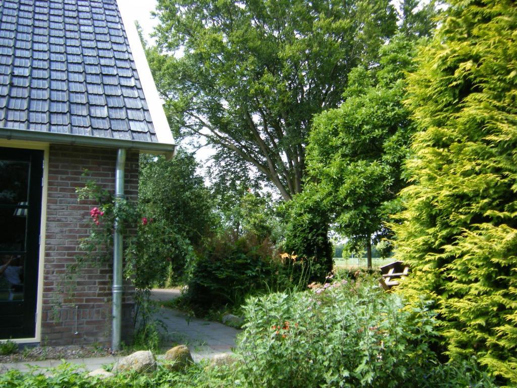 Molenvoort Bed & Breakfast Wachtum Exterior foto